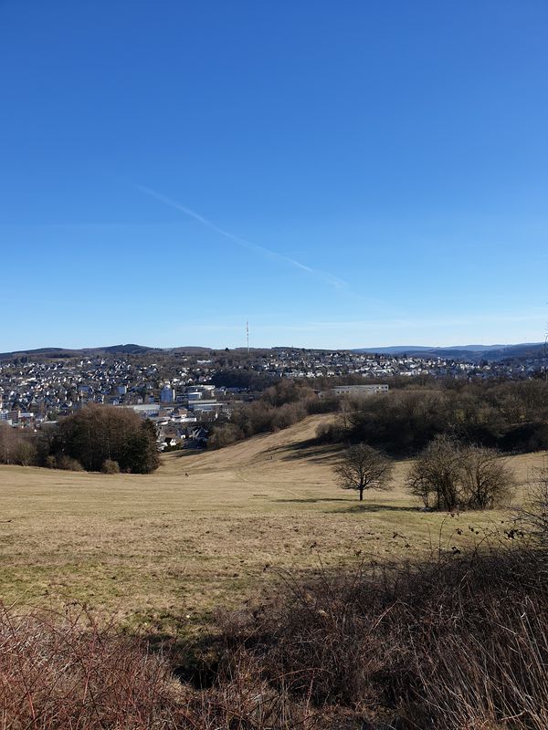 Truppacher Heide, Panzerstrasse