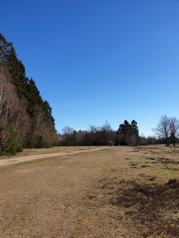 Truppacher Heide, Panzerstrasse