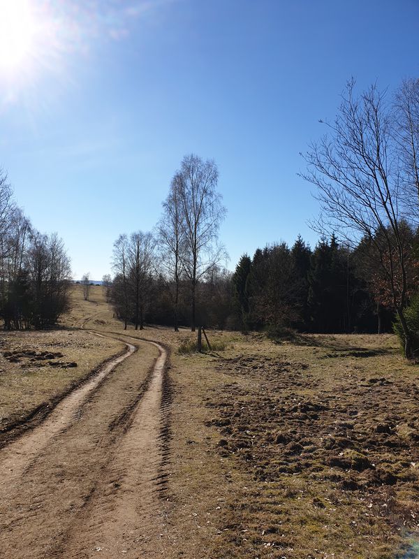 Truppacher Heide, Panzerstrasse