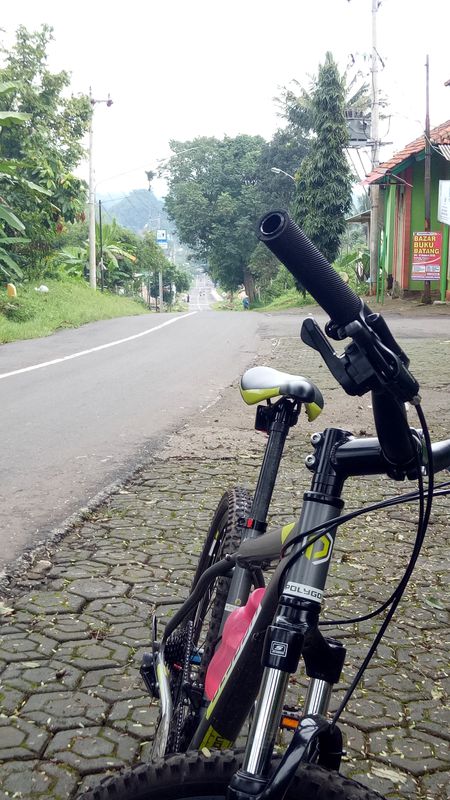 Tazaka trip
