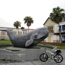 20190303日向廣場晃晃