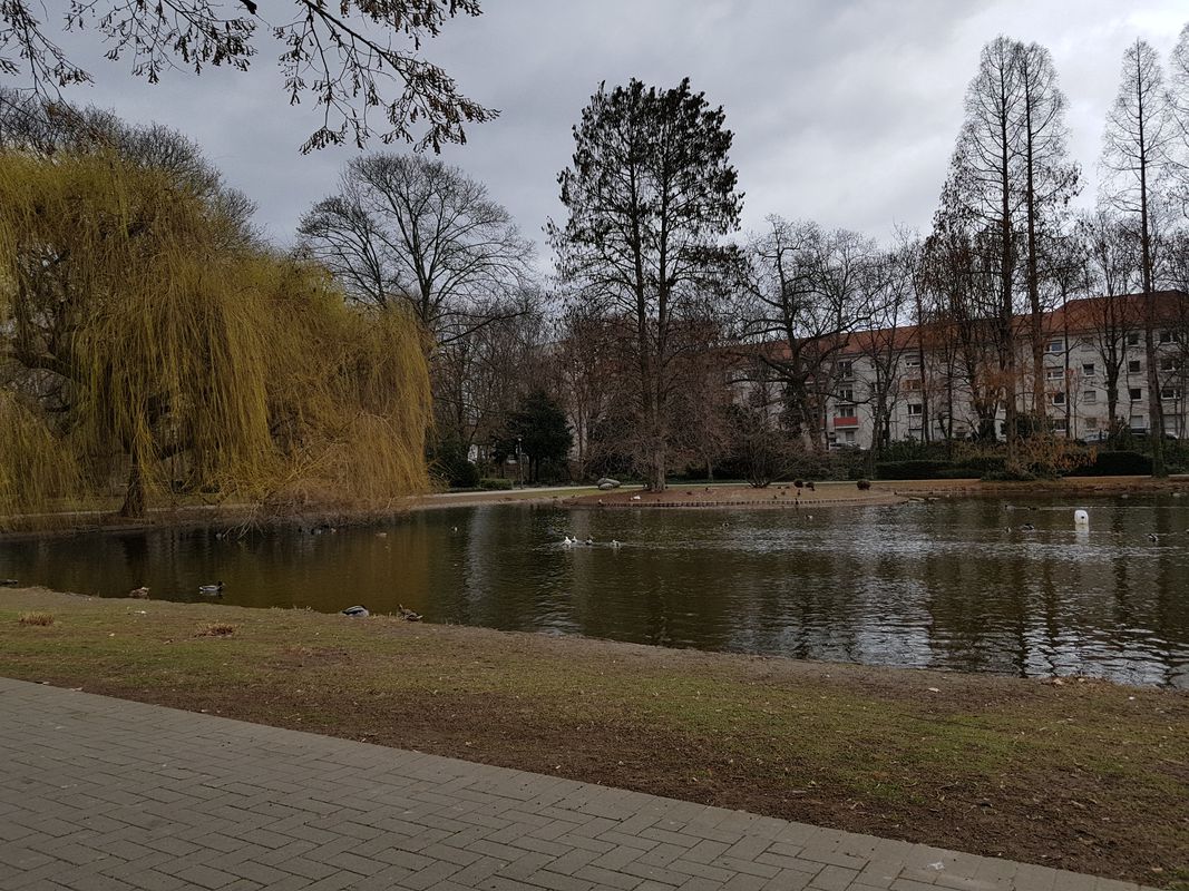 Ludwigshafen