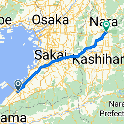 KIX to Nara