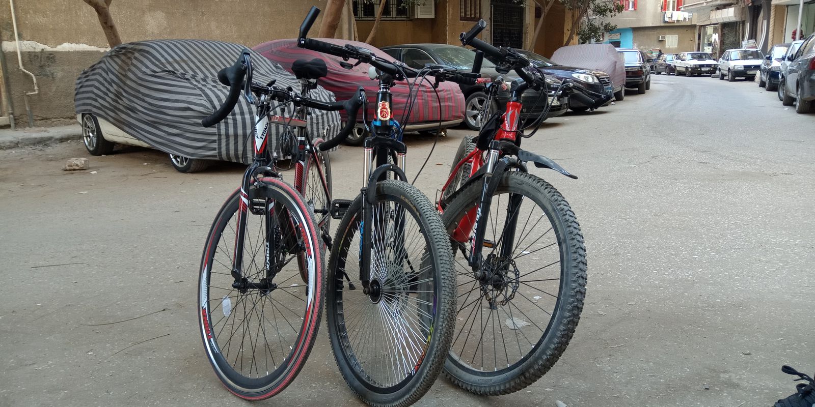 jola 7ol assiut🌍🚲