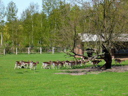 Destacado 12 en la ruta de Bikemap "Okruh přes Kladruby,Bohdaneč a Boharyně" Destacado 12 en la ruta de Bikemap "Okruh přes Kladruby,Bohdaneč a Boharyně"