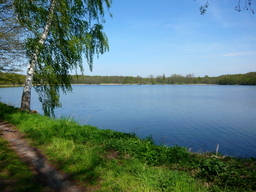 Destacado 9 en la ruta de Bikemap "Okruh přes Kladruby,Bohdaneč a Boharyně" Destacado 9 en la ruta de Bikemap "Okruh přes Kladruby,Bohdaneč a Boharyně"