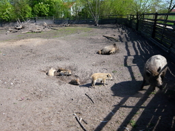 Destacado 4 en la ruta de Bikemap "Okruh přes Kladruby,Bohdaneč a Boharyně" Destacado 4 en la ruta de Bikemap "Okruh přes Kladruby,Bohdaneč a Boharyně"