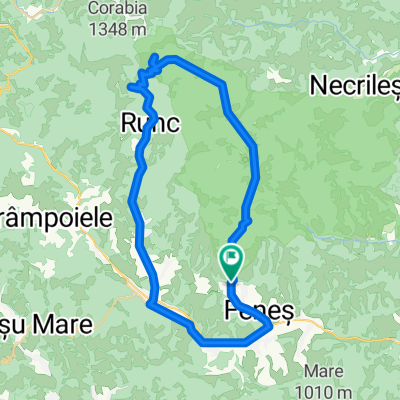 Cheile Caprei &amp; Poiana cu Narcise