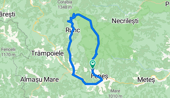 Cheile Caprei &amp; Poiana cu Narcise