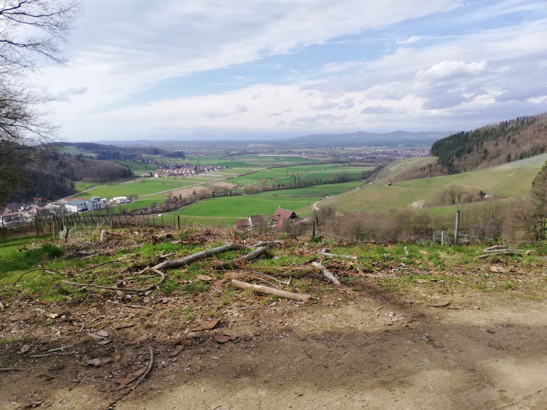 Glottertal