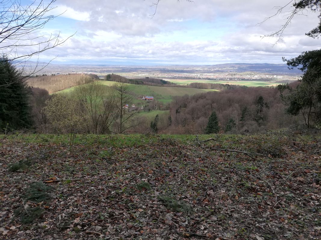 Glottertal