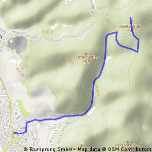 Ab Handschuhsheim auf den Weissen Stein durch den Wald