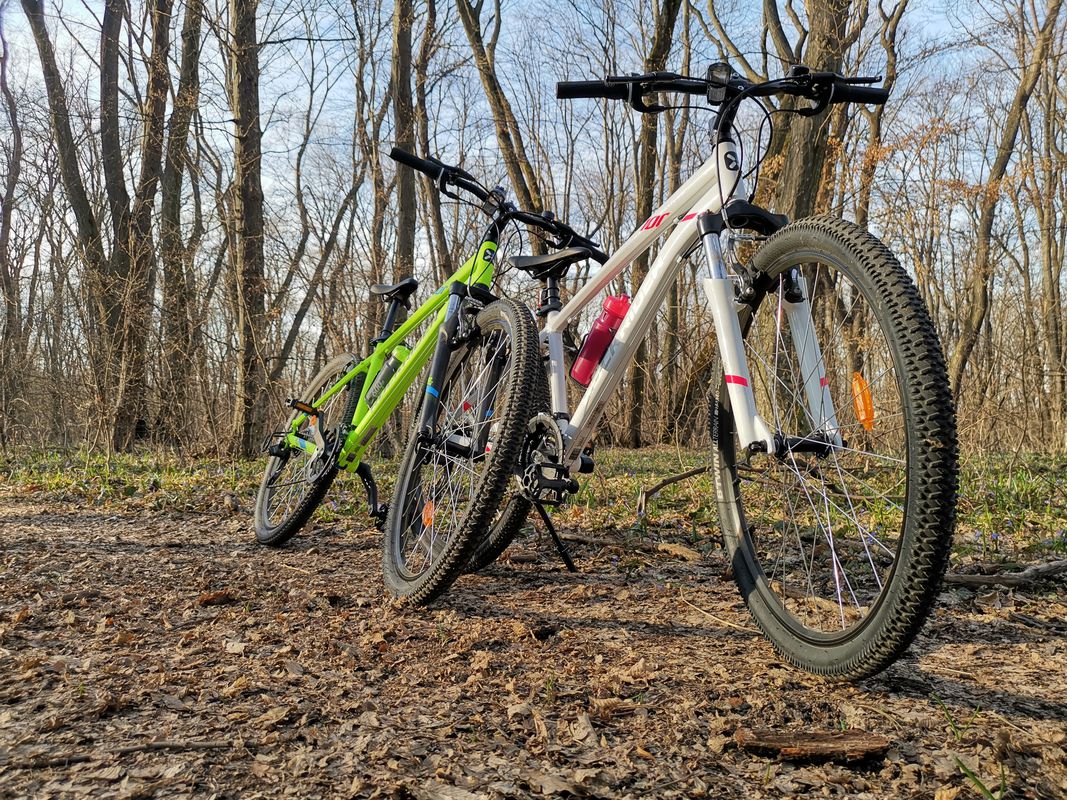 Bratuleni via Uricani Forrest