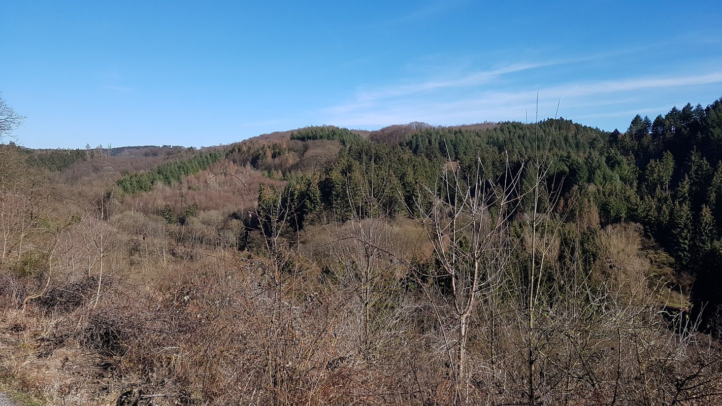 Rundtour Engers Nauort