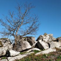 Foto 8 de la ruta de Bikemap "Ruta : vigo - chan de brito - vigo."