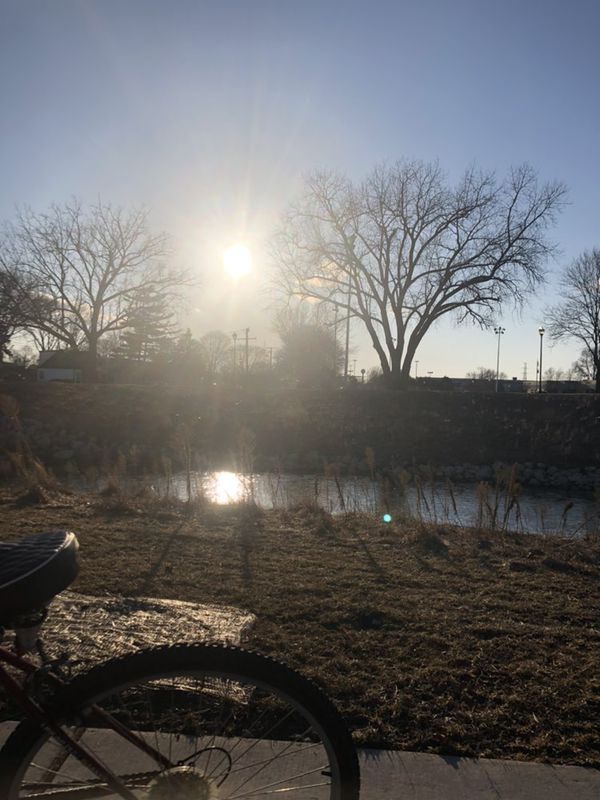 i fed the geese