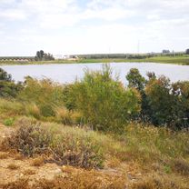 al lago