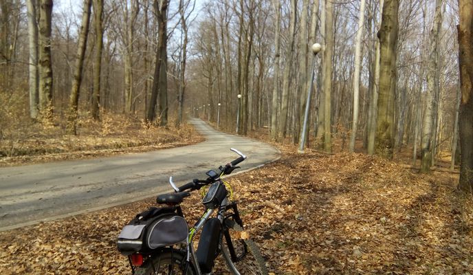 Zdjęcie 2 trasy Bikemap „2019/06 Staw Janina, Staw Barbara”