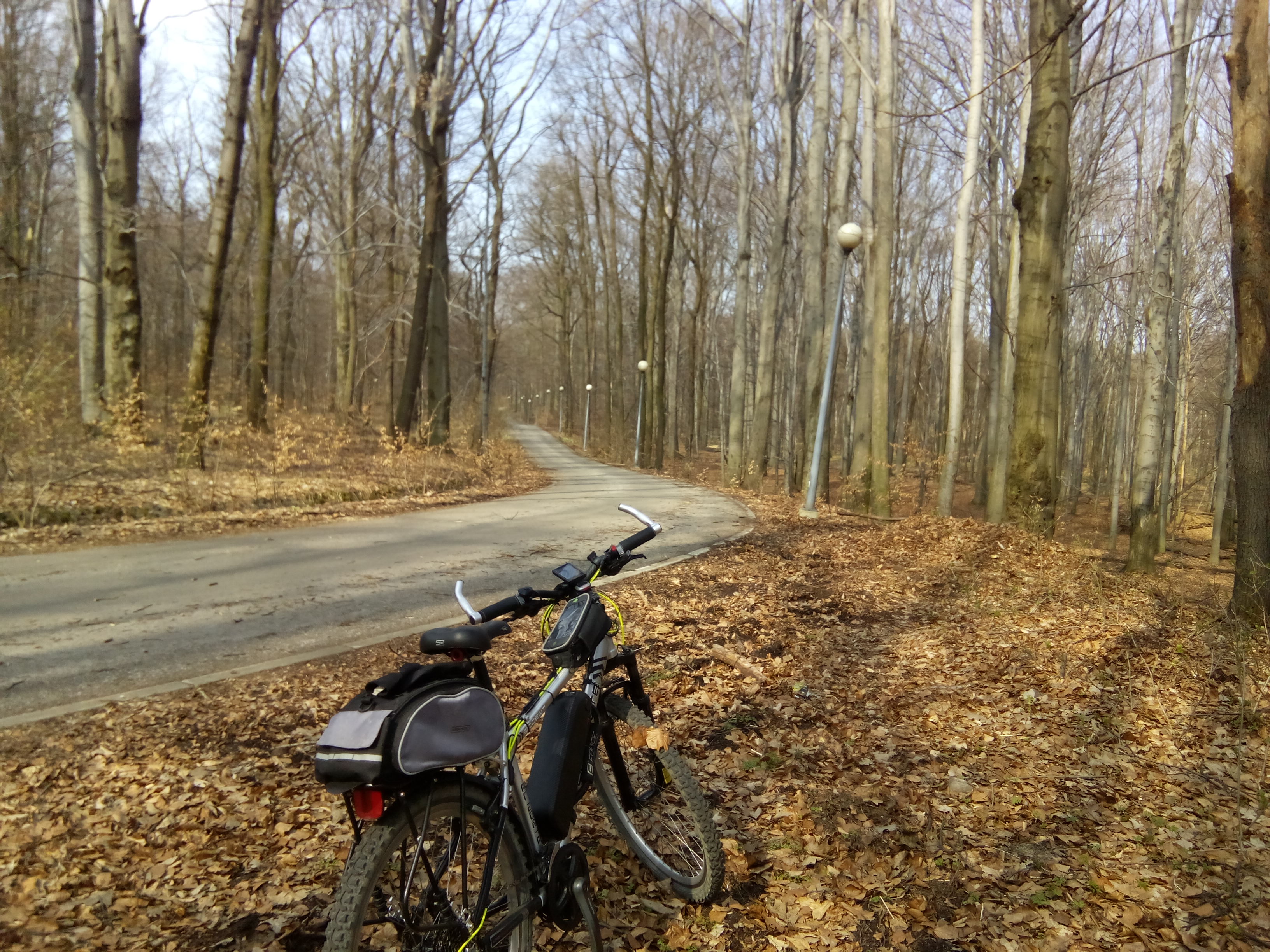Atrakcja 4 na trasie Bikemap „2019/06 Staw Janina, Staw Barbara”