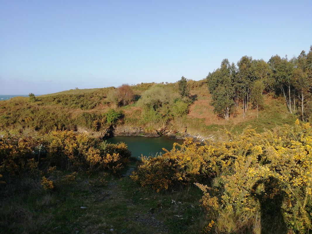 El agua cristalina