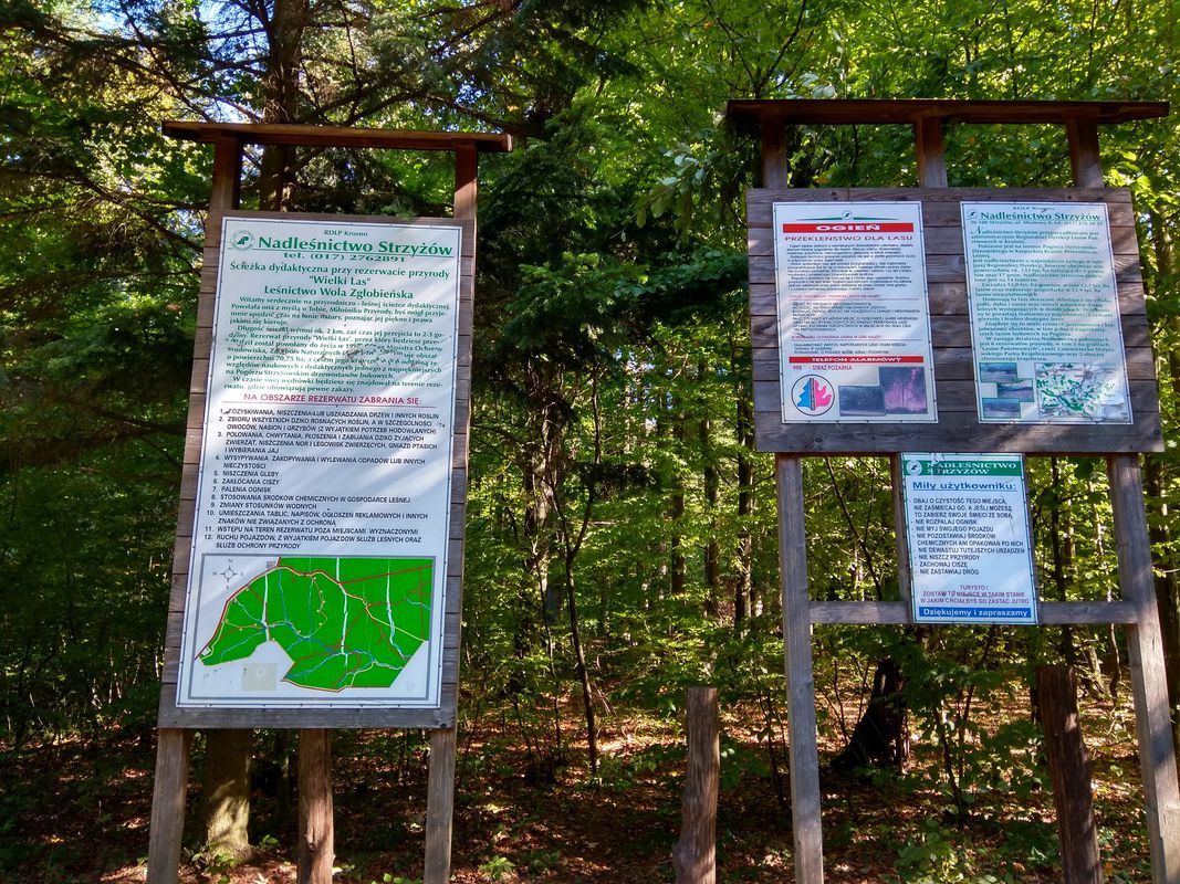 Rzeszów - Pstrągowa - Strzyżów - Rzeszów