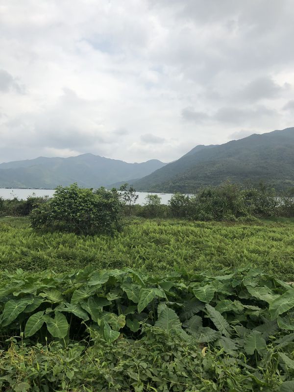 輕鬆騎行 馬鞍山