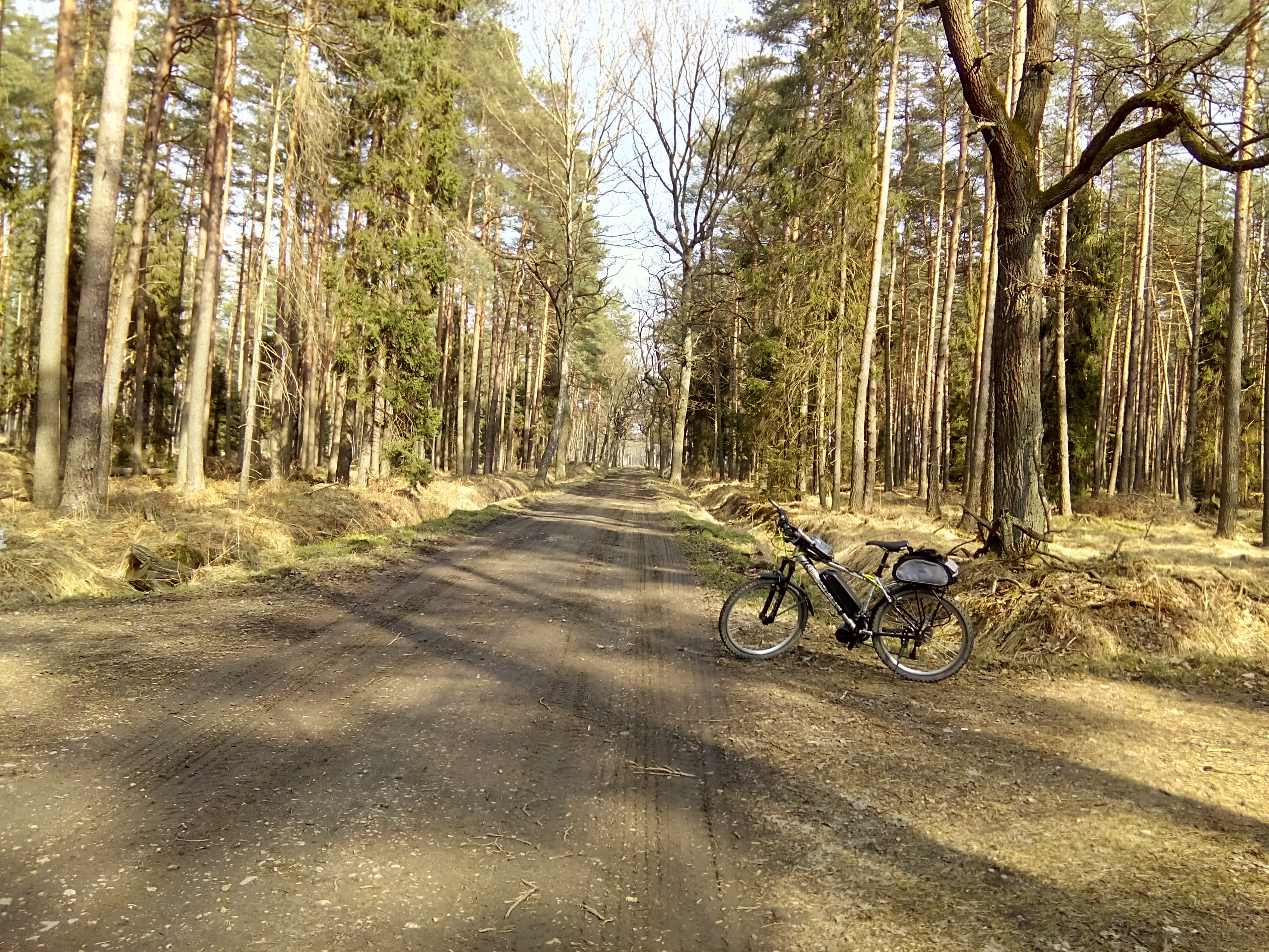Hebe Bild 4 entlang der Bikemap-Route "2019/07 Zamek Pszczyna" hervor Hebe Bild 4 entlang der Bikemap-Route "2019/07 Zamek Pszczyna" hervor