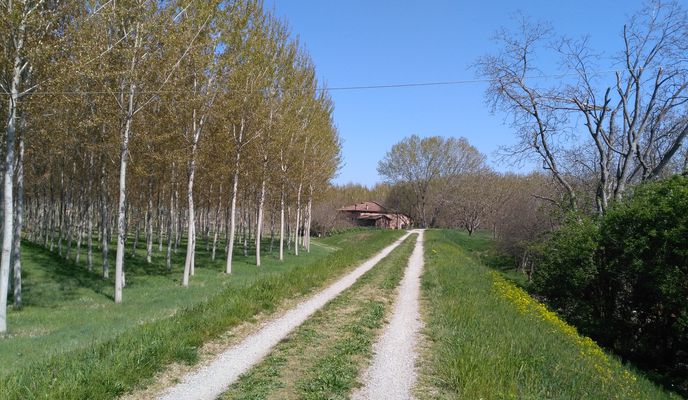 Photo 2 of the Bikemap route "la barchetta fino al secchia"