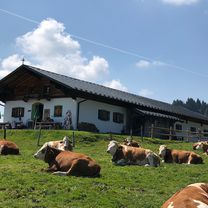 Photo 7 of the Bikemap route "MTB Tour zur Piesenhausener Hochalm über Staffenalm"