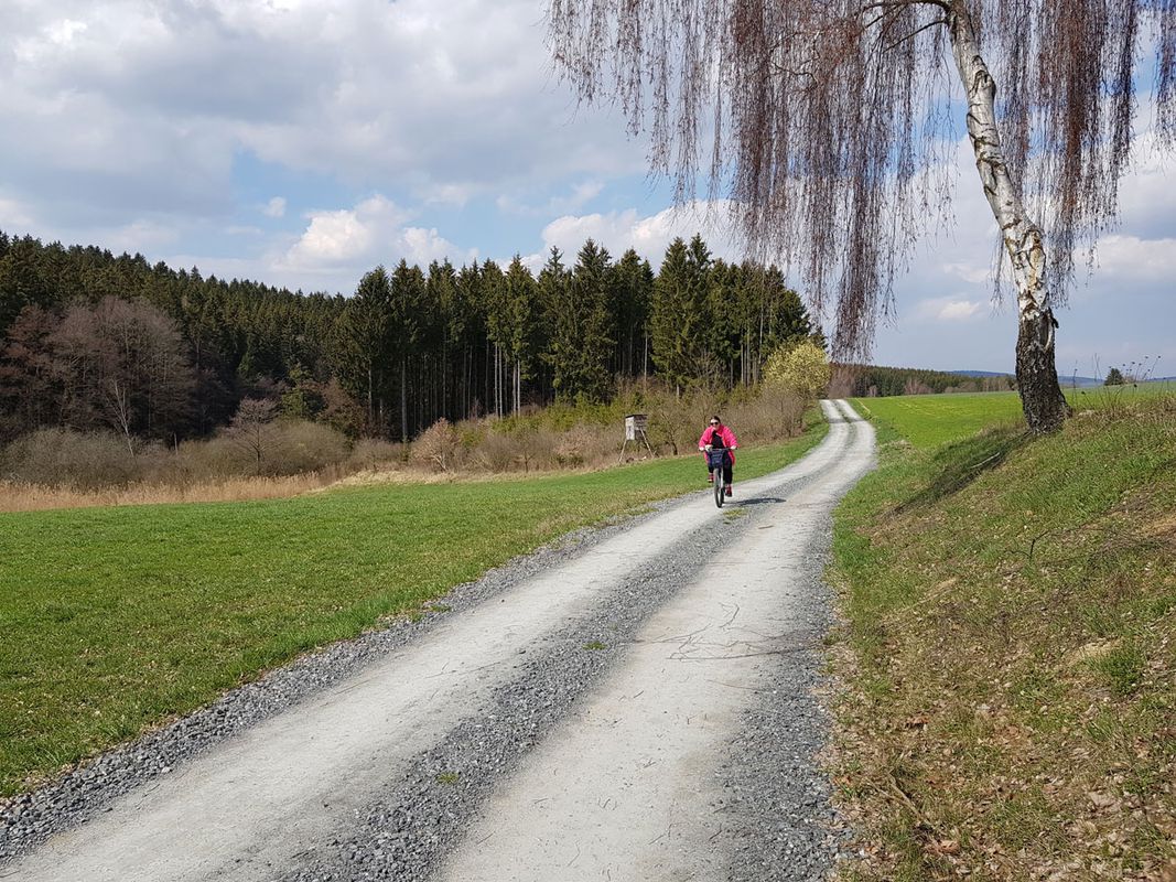 Abstecher von VOH zum Bücklweiher