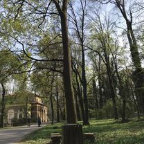Giro a velocità lenta in Monza