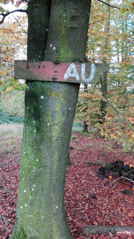 Hiesberg, Ruine Zelking - Variante I