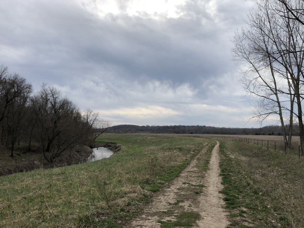 little blue trace 1