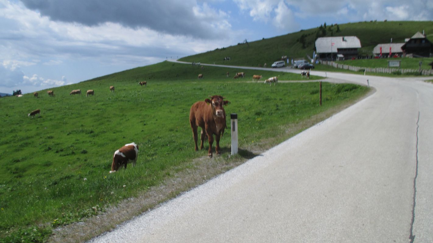 teichalm nagy kör