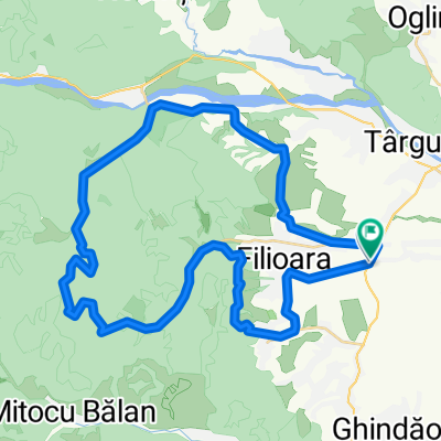 Parcu Natural Vanatori (camp)