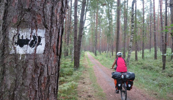Foto 1 der Bikemap-Route "Stettin - Usedom"
