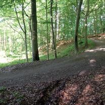 MTB Zoniënwoud