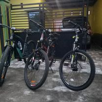 Edisi santai mbek sarapan