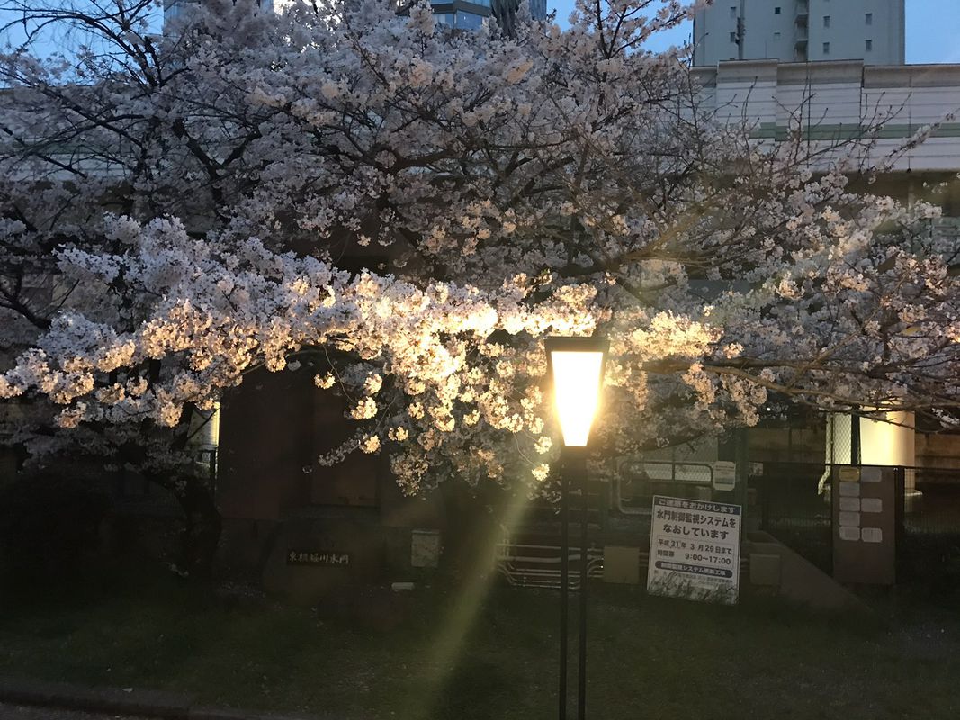 Long Sunday Ride In Chuo-Ku, Osaka-Shi