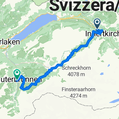 Steinadler_01