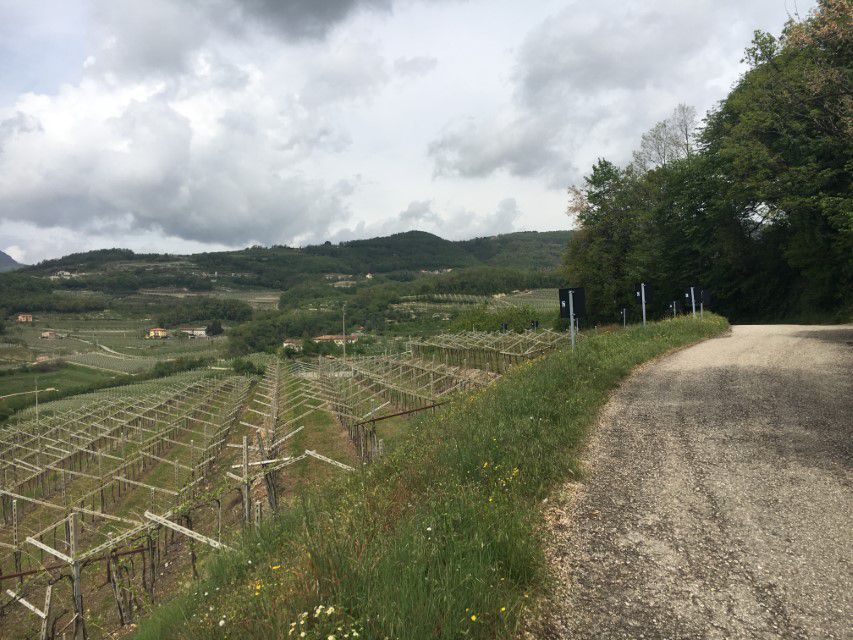 Rundfahrt Valpolicella 1 / Negar