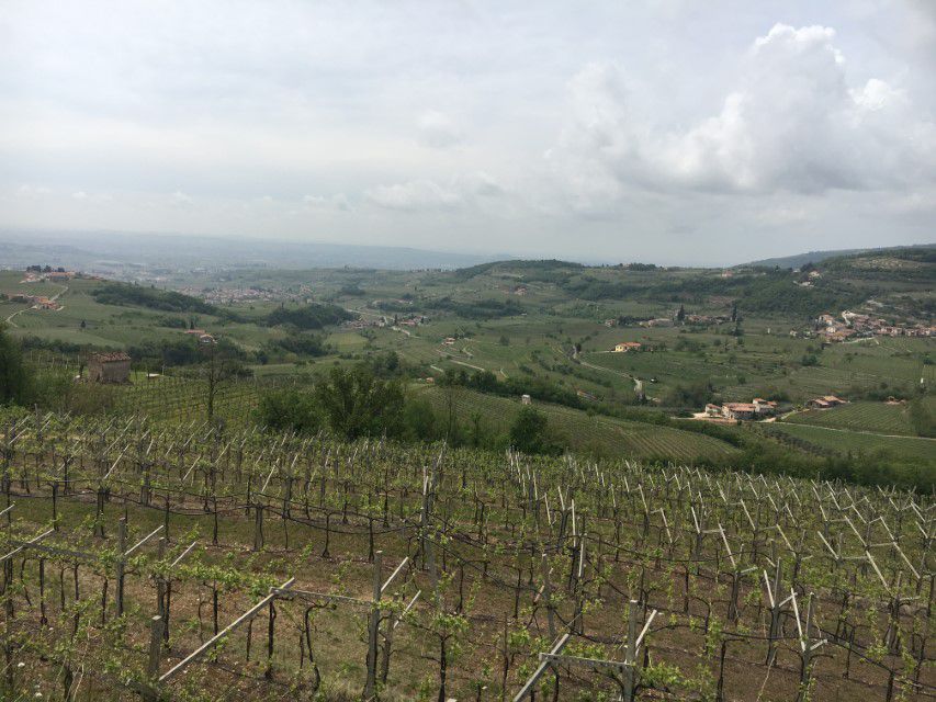 Rundfahrt Valpolicella 1 / Negar