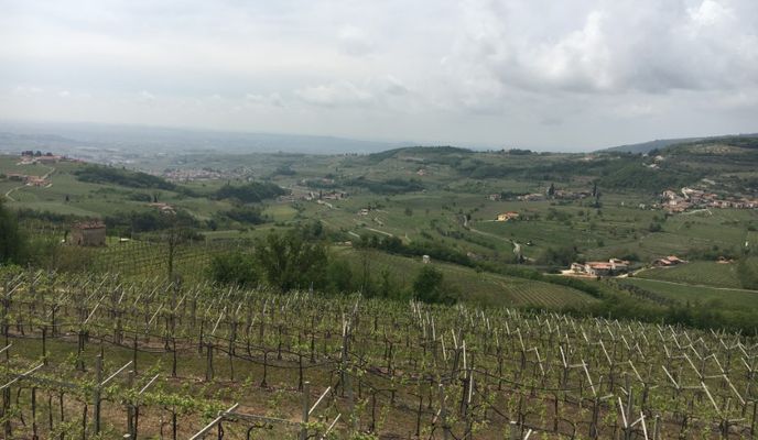 Photo 2 of the Bikemap route "Rundfahrt Valpolicella 1 / Negar"