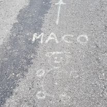 moš-turček VN-sklene-moš