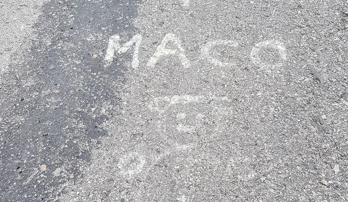 Foto 1 der Bikemap-Route "moš-turček VN-sklene-moš"