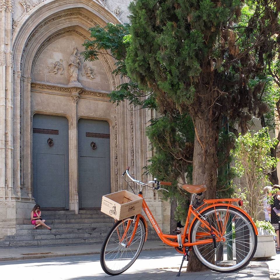 Destacado 15 en la ruta de Bikemap "Ruta 33 Horta Nord: San Miguel de los Reyes- Alboraya-Marítimo-CAC-Turia"