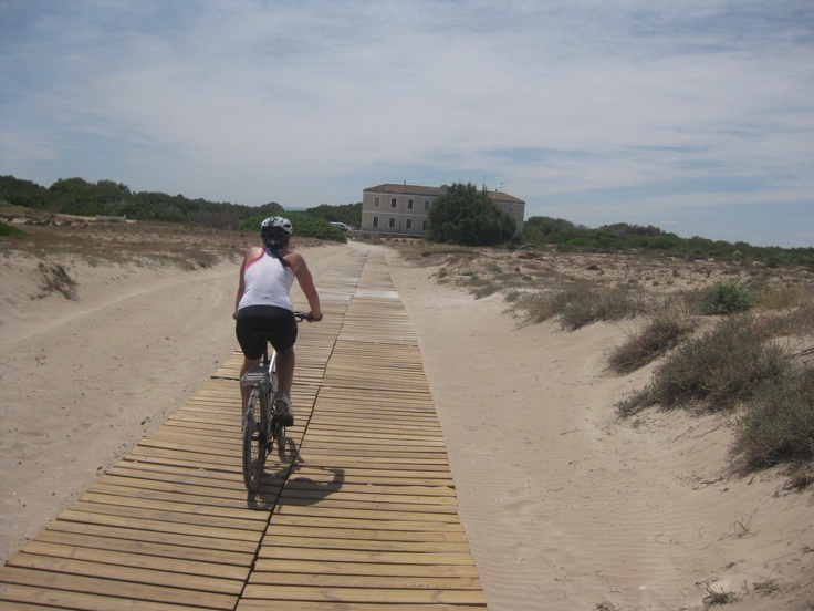 Highlight 2 along the Bikemap route "Ruta 21 Albufera: Calle Balmes - Gola de Puchol"