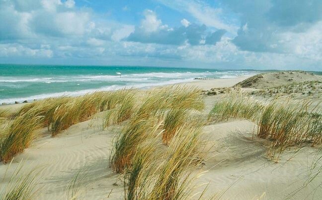 Highlight 1 along the Bikemap route "Ruta 21 Albufera: Calle Balmes - Gola de Puchol"