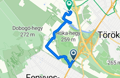 Route in der Bikemap App öffnen
