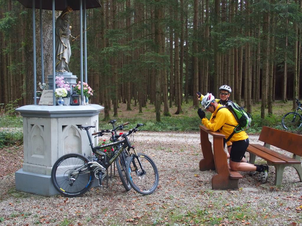 In den Stauden